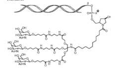 Figure imgf000006_0002