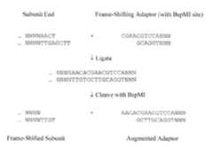 Figure imgf000013_0001