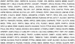 Figure imgf000047_0001