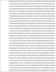 Figure imgf000391_0001