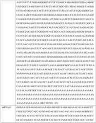 Figure imgf000374_0001