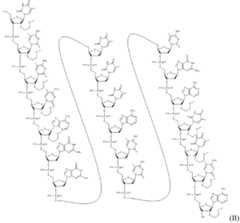 Figure imgf000027_0001