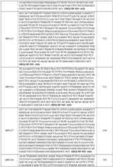 Figure imgf000095_0001