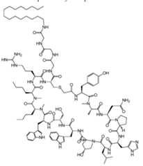 Figure imgf000255_0001
