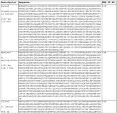 Figure imgf000097_0001