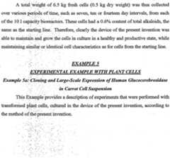 Figure imgf000054_0001