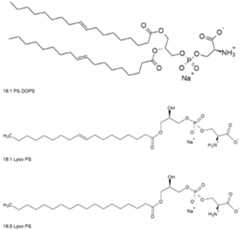 Figure imgf000092_0001