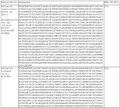 Figure imgf000101_0001