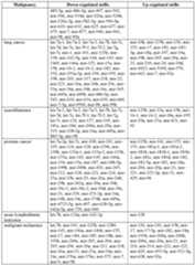 Figure imgf000123_0001