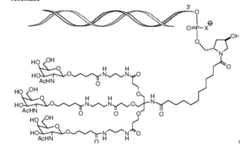 Figure imgf000012_0001