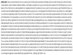 Figure imgf000080_0001