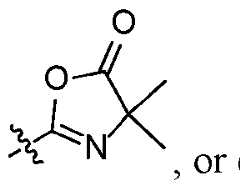 Figure imgf000004_0002