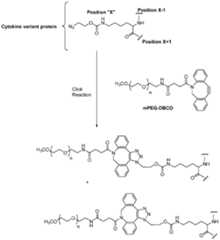 Figure imgf000038_0001