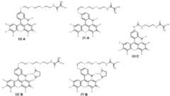 Figure imgf000013_0001