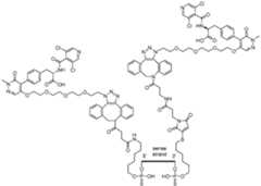 Figure imgf000295_0001