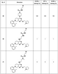Figure imgf000325_0001
