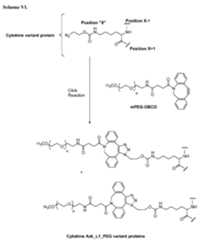 Figure imgf000032_0001