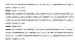 Figure imgf000172_0001