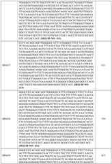 Figure imgf000110_0001