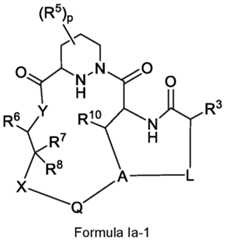 Figure imgf000318_0001