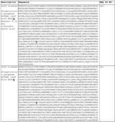 Figure imgf000092_0001