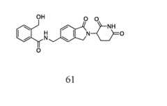 Figure imgf000062_0002