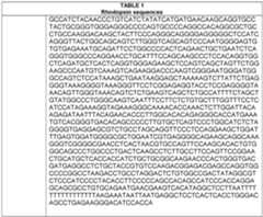 Figure imgf000016_0001