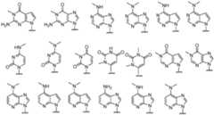 Figure imgf000079_0001