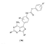 Figure imgf000008_0001