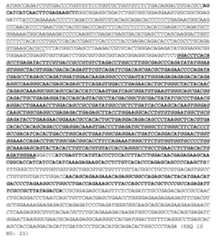 Figure imgf000044_0001