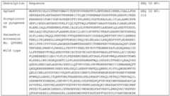 Figure imgf000114_0001