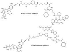 Figure imgf000081_0001