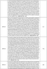 Figure imgf000081_0001