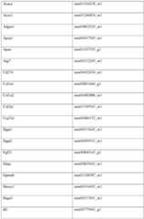 Figure imgf000315_0001