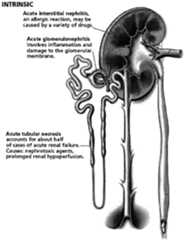 Figure imgf000003_0001