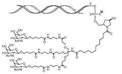 Figure imgf000006_0002