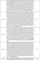 Figure imgf000089_0001