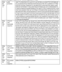 Figure imgf000057_0001