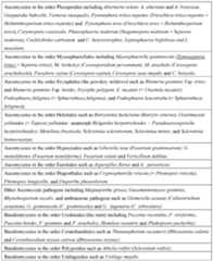 Figure imgf000054_0001