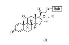 Figure imgf000020_0001