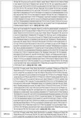 Figure imgf000086_0001