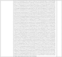 Figure imgf000173_0001