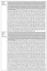 Figure imgf000150_0001