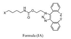 Figure imgf000004_0001
