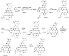 Figure imgf000207_0001