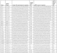 Figure imgf000118_0001