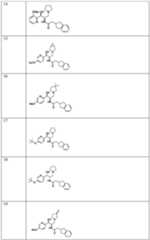 Figure imgf000017_0001