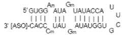 Figure imgf000098_0001