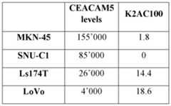 Figure imgf000046_0001