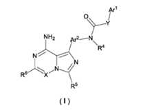 Figure imgf000004_0001